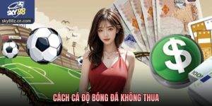 Cách Cá Độ Bóng Đá Không Thua Góc Nhìn Thực Tế Từ Chuyên Gia