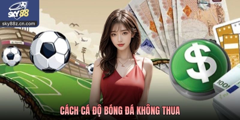 Cách Cá Độ Bóng Đá Không Thua Góc Nhìn Thực Tế Từ Chuyên Gia