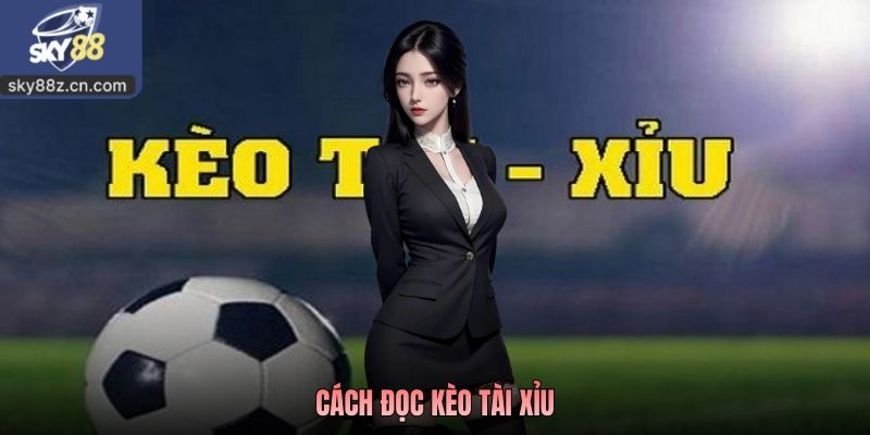 Cách Đọc Kèo Tài Xỉu Chuẩn Xác: Hiểu Đúng Bản Chất Các Tỷ Lệ