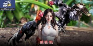 Đá Gà Tre - Cách Theo Dõi Nhanh Kiểu Chọi Truyền Thống