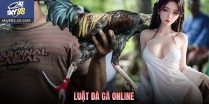 Luật Đá Gà Online - Quy Định Và Cách Hiểu Đúng Khi Theo Dõi