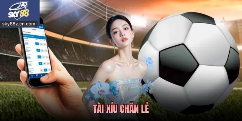 Tài Xỉu Chẵn Lẻ Là Gì? Kinh Nghiệm Theo Dõi Hiệu Quả 2026