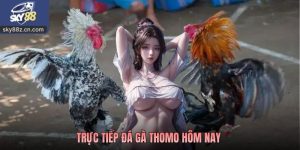 Trực Tiếp Đá Gà Thomo Hôm Nay - Hướng Dẫn Xem Live